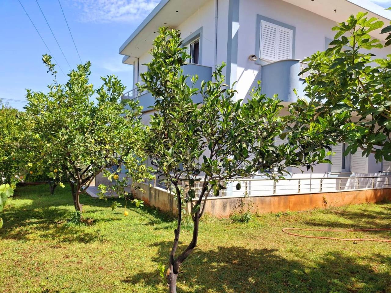 Myksamil Apartments Værelse billede